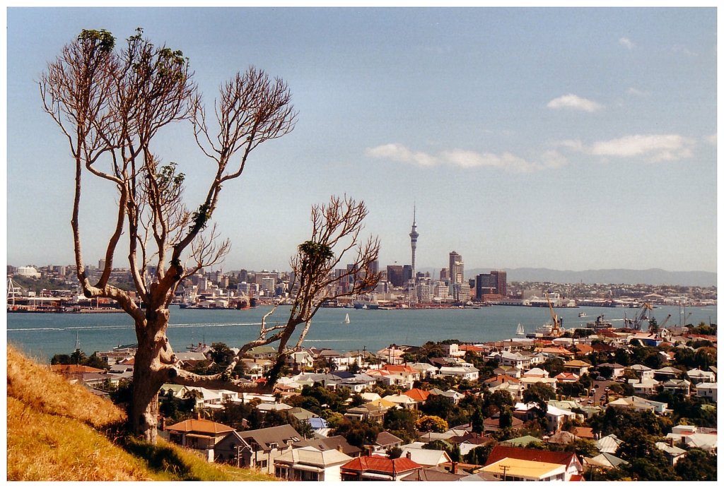 01 - Auckland (0).jpg